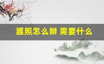 護照怎么辦 需要什么(辦護照咋辦)